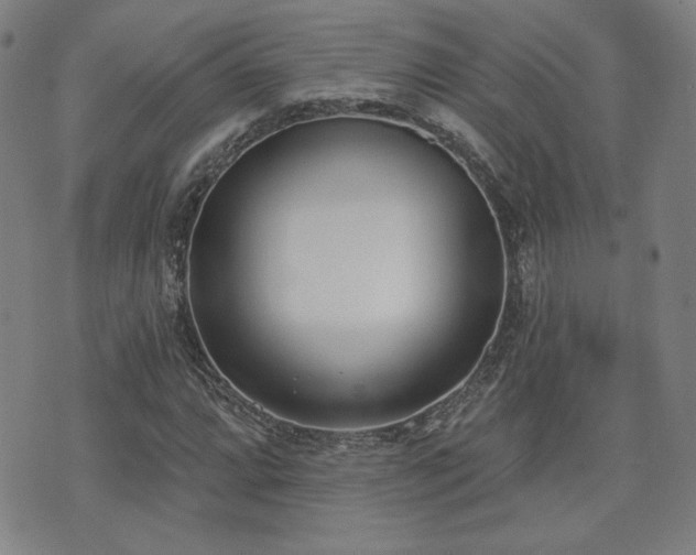 X0000072491064200607141059