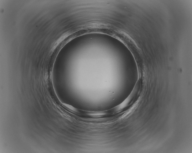 X0000072491065200607141059