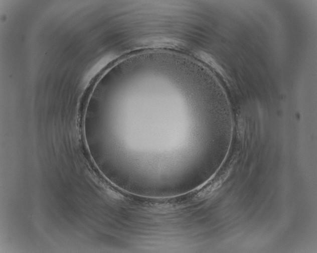 X0000072491071200607141059