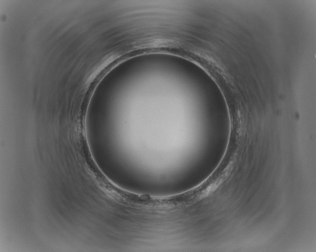 X0000072491073200607141059