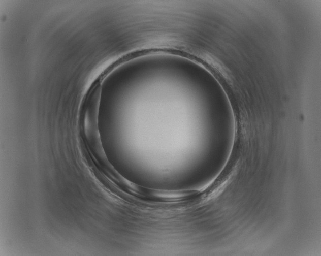 X0000072491077200607141059