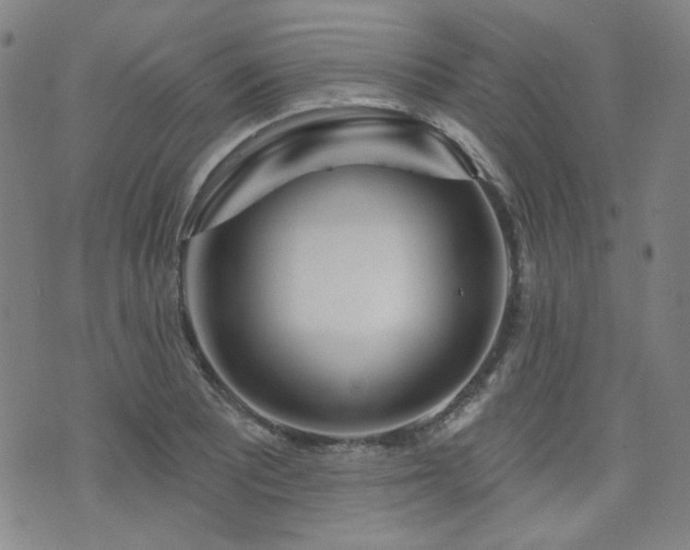 X0000072491081200607141059