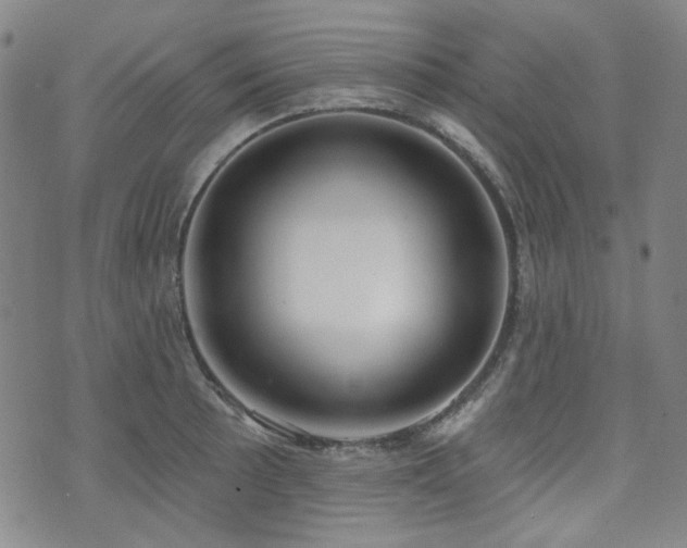 X0000072491089200607141058