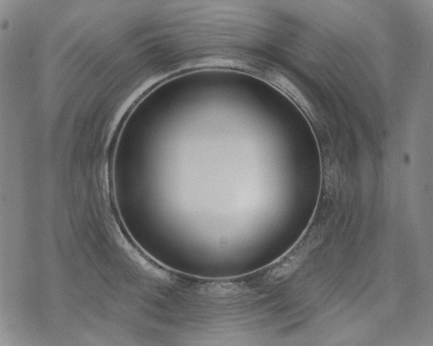 X0000072491092200607141058