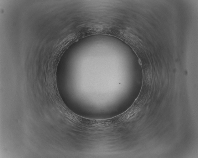 X0000072491105200607141057
