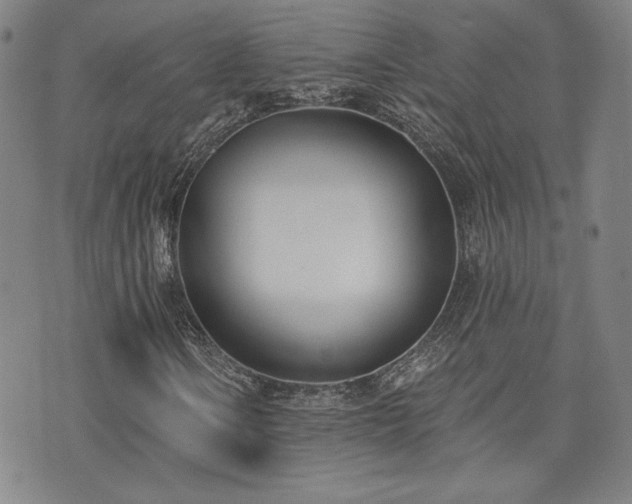 X0000072491106200607141057