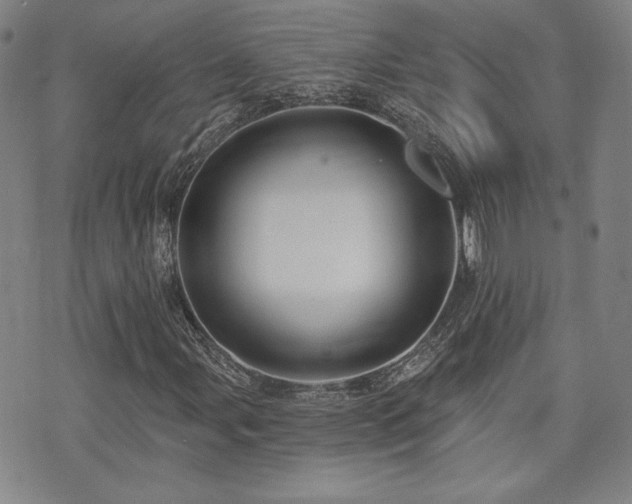 X0000072491107200607141058