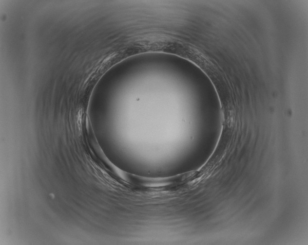 X0000072491108200607141058