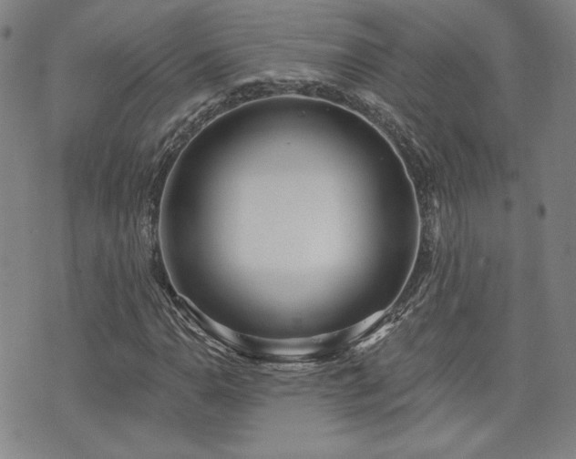 X0000072491110200607141058