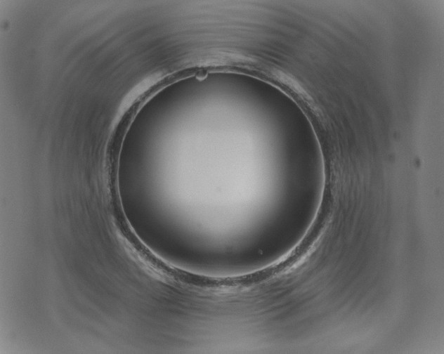 X0000072491122200607141058