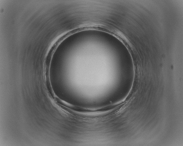 X0000072491124200607141058