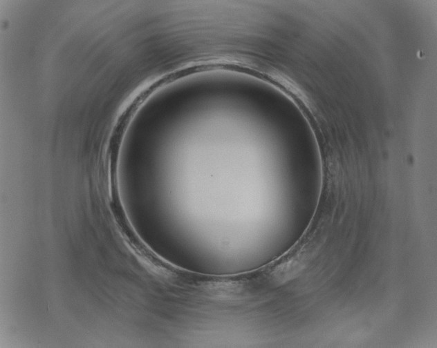 X0000072491127200607141058