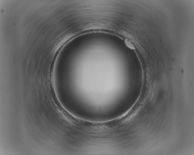 X0000072491129200607141058