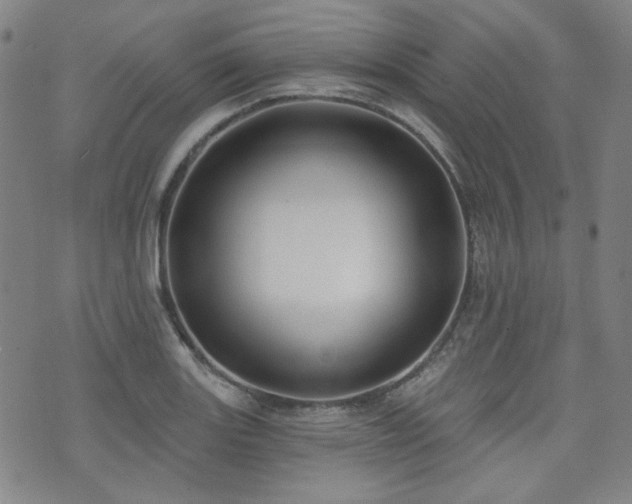 X0000072491131200607141058