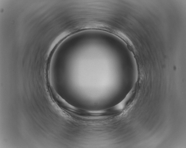 X0000072491138200607141058