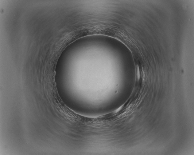 X0000072491153200607141057