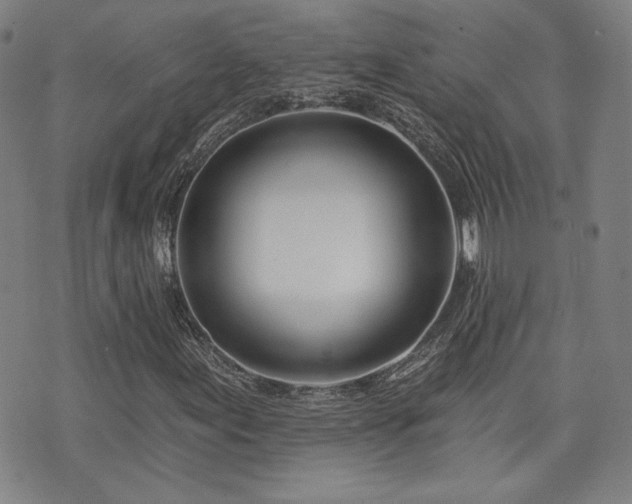 X0000072491155200607141057