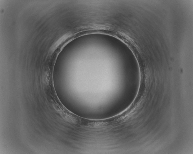 X0000072491163200607141057