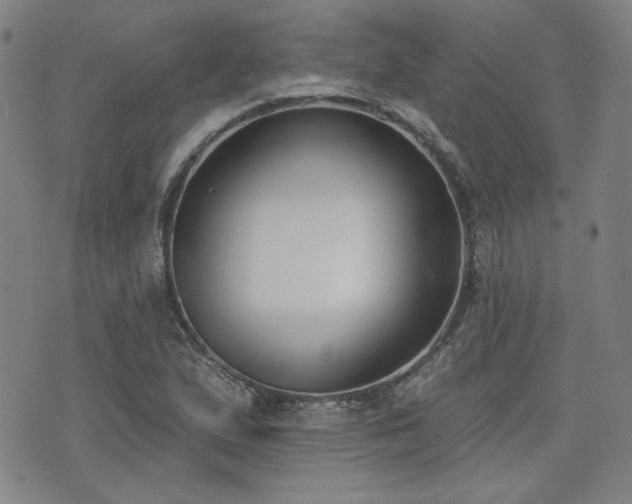 X0000072491167200607141057