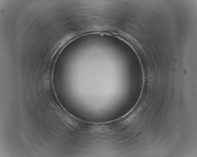 X0000072491170200607141057