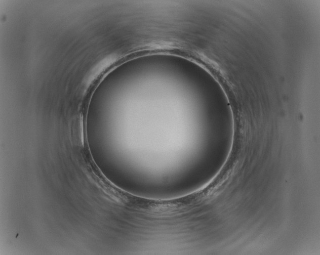 X0000072491171200607141057