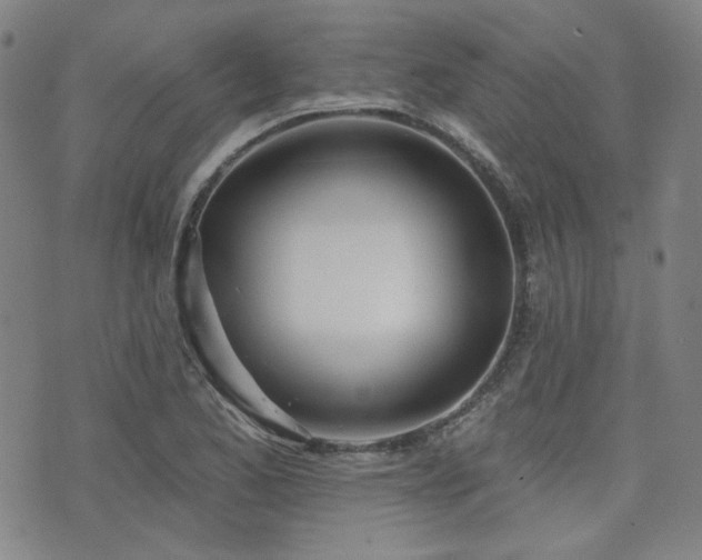 X0000072491173200607141057