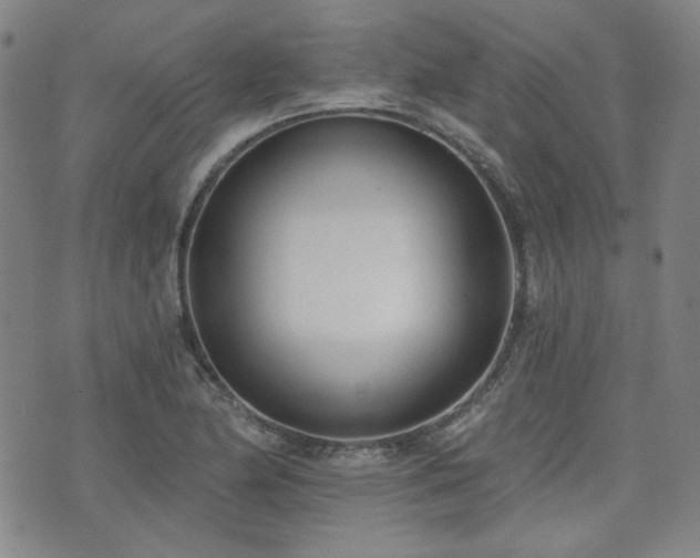 X0000072491174200607141057