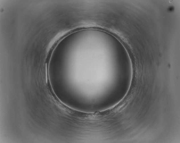 X0000072491175200607141057