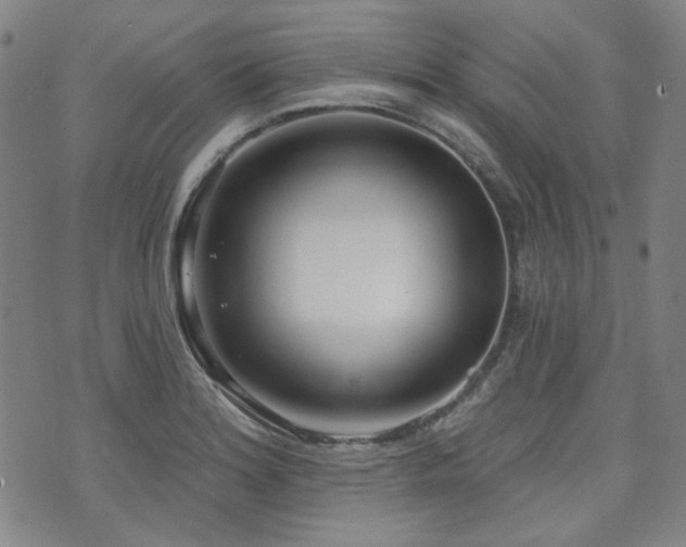 X0000072491180200607141057