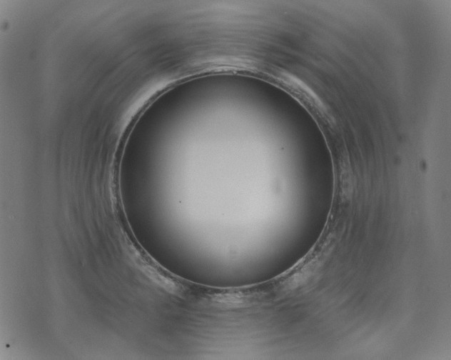 X0000072491182200607141057