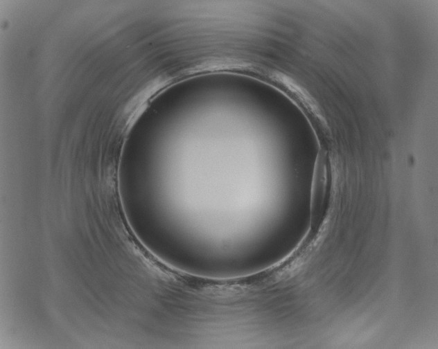 X0000072491185200607141057