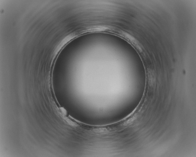 X0000072491186200607141057