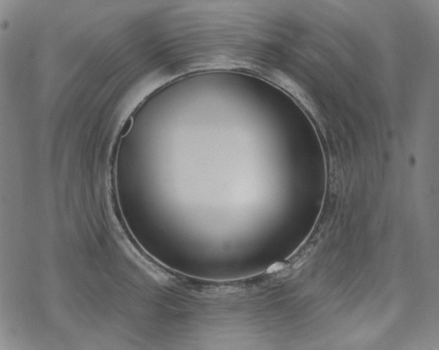 X0000072491187200607141057