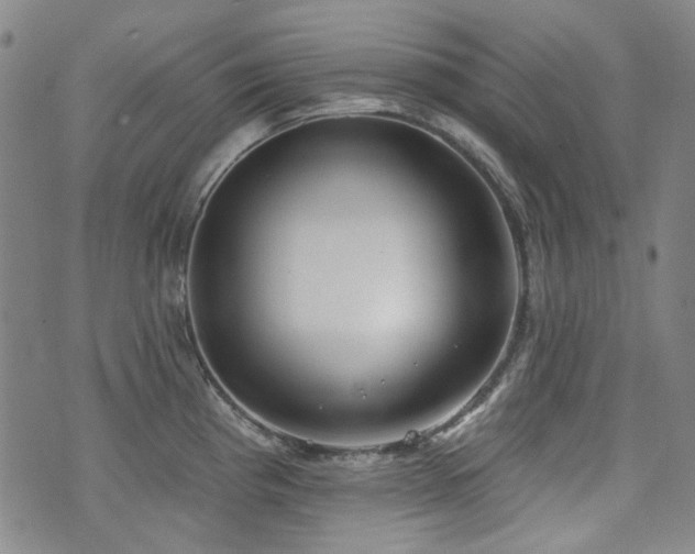 X0000072491193200607141057
