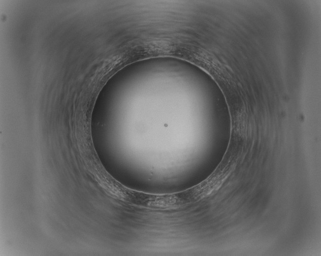 X0000072491201200607141056