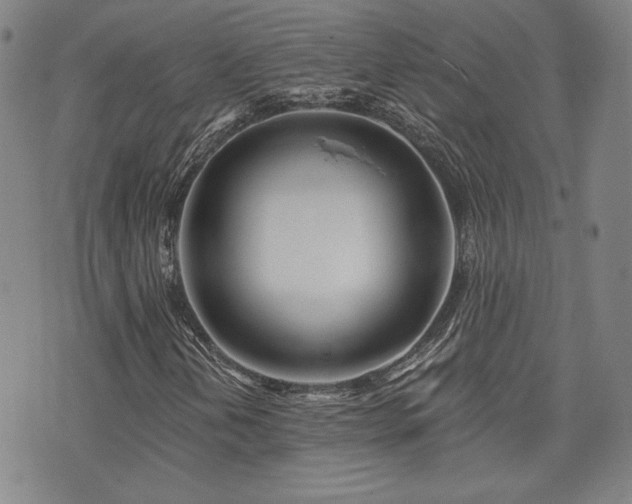 X0000072491202200607141056