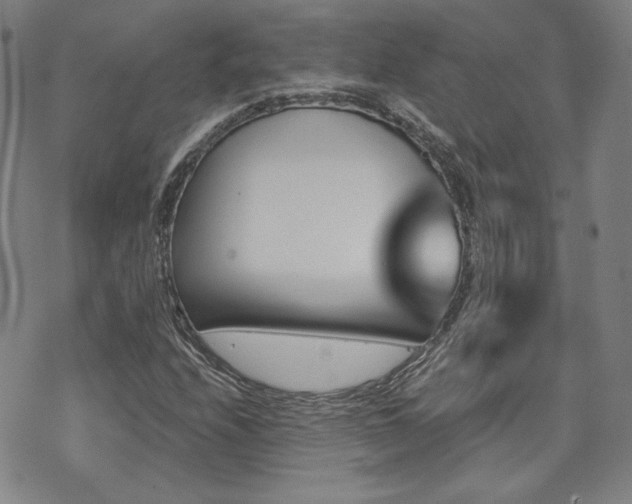 X0000072491208200607141056