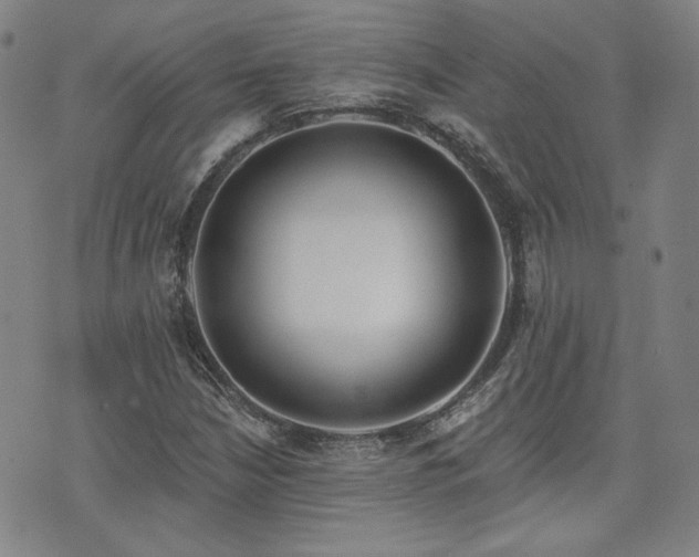 X0000072491210200607141056