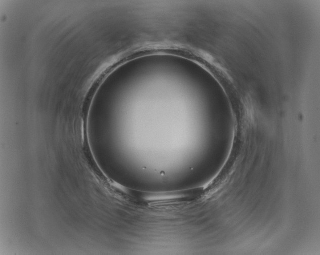X0000072491221200607141056