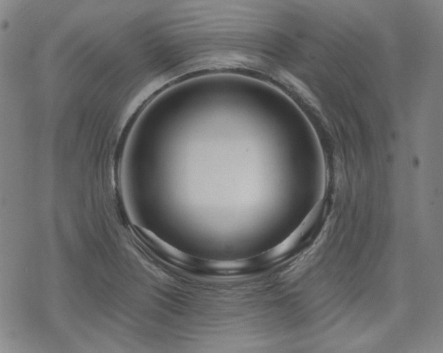 X0000072491226200607141056