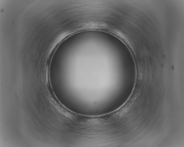 X0000072491227200607141056