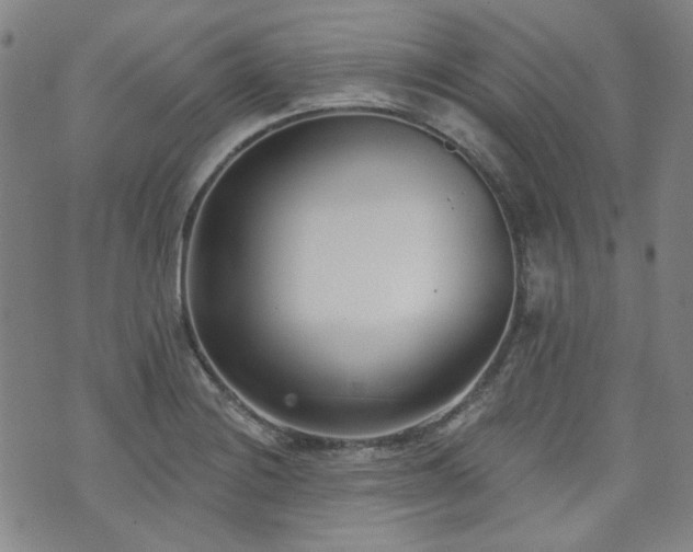 X0000072491228200607141056