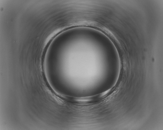 X0000072491230200607141056