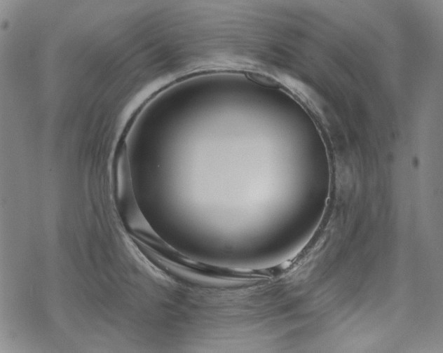 X0000072491238200607141056
