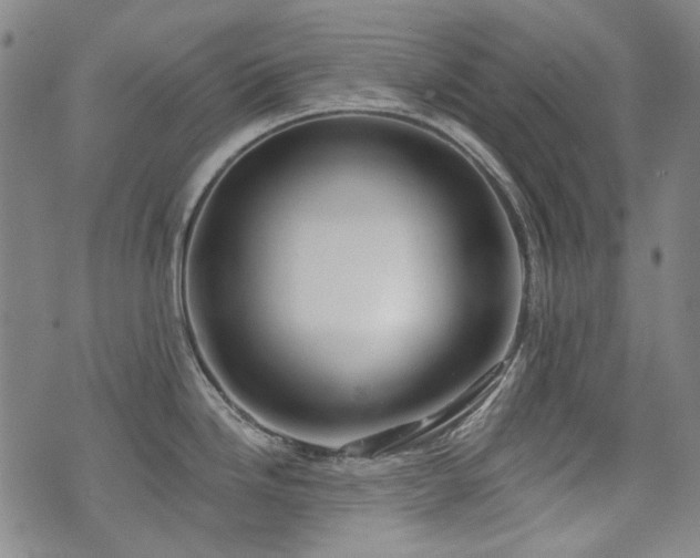 X0000072491246200607141057
