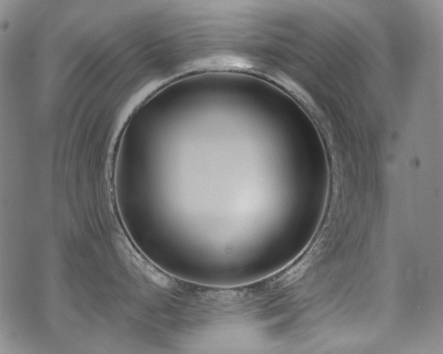 X0000072491248200607141057