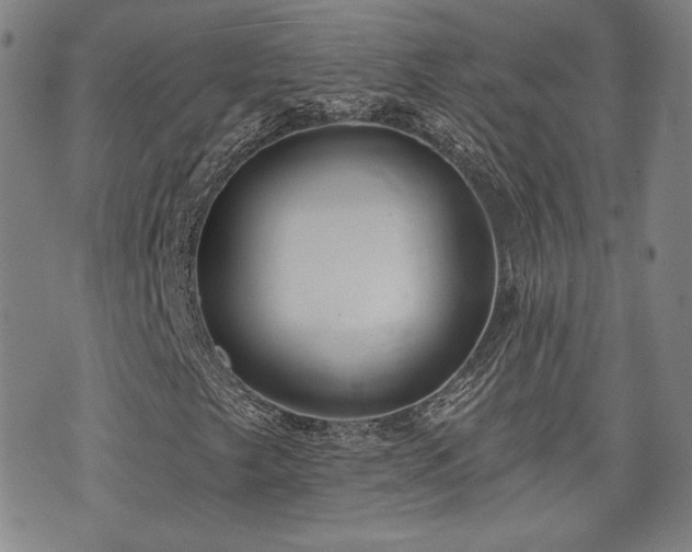 X0000072491249200607141056