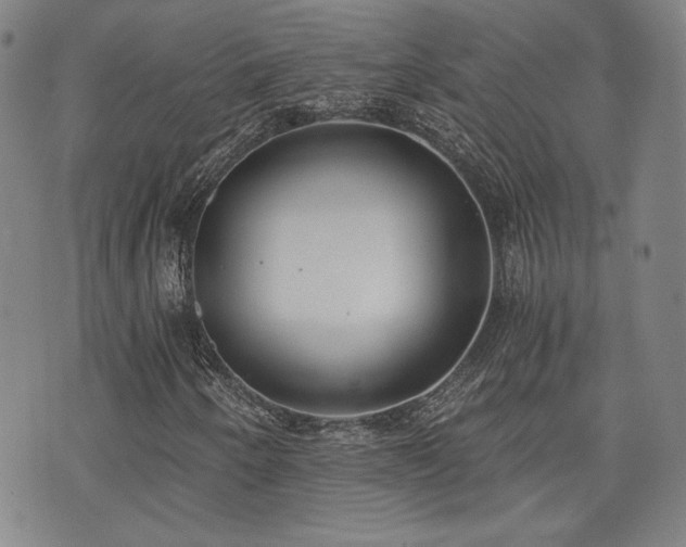 X0000072491250200607141056
