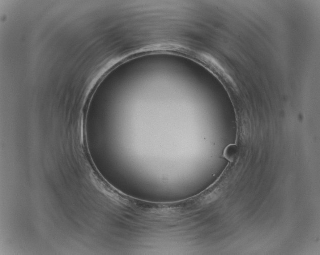 X0000072491276200607141055