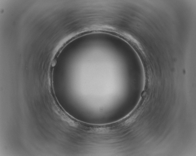 X0000072491280200607141055